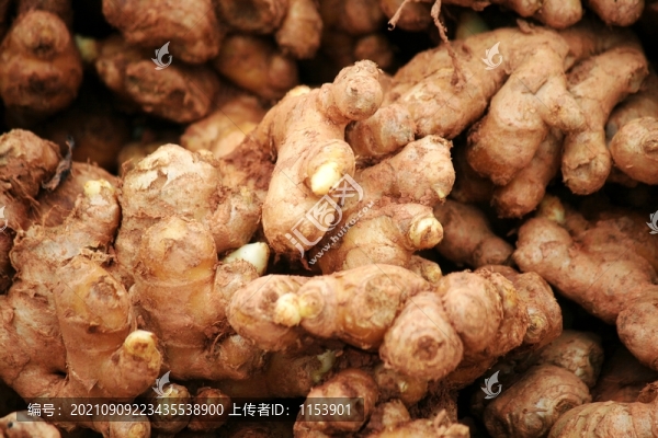 生姜