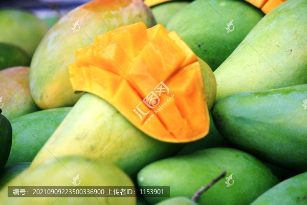 大青芒