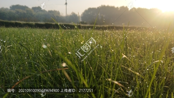 夢幻的露珠