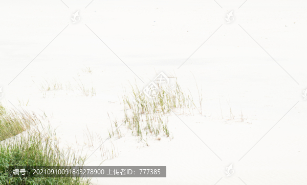 蘆葦?shù)膶庫o海灘
