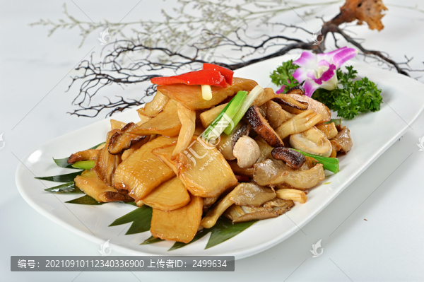 杏鮑菇雜菌