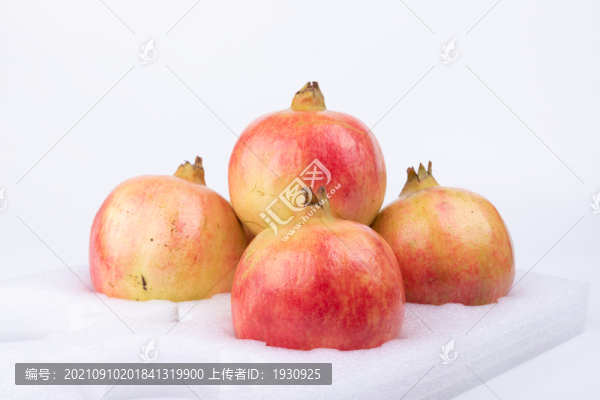 四川涼山會(huì)理突尼斯軟籽石榴