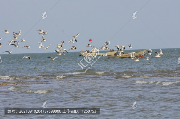 日出海景朝霞