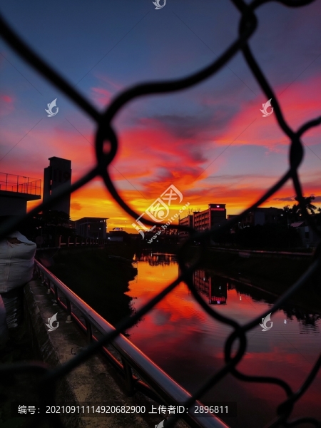 深圳晚霞-匯圖網(wǎng) www.fosd68.com 深圳晚霞