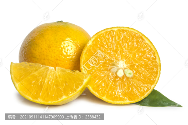 皇帝貢柑