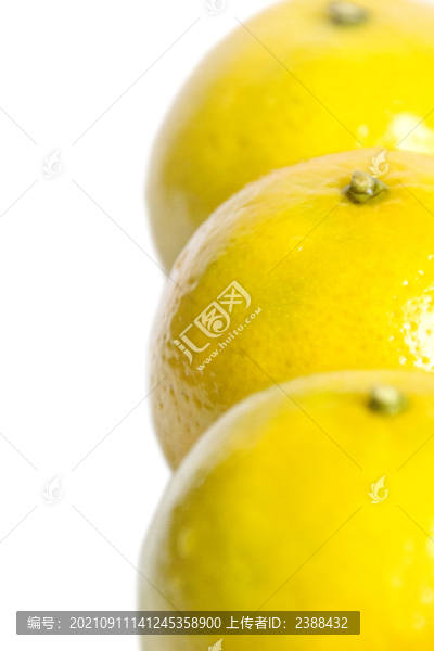 皇帝柑