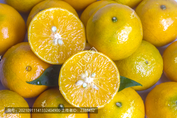 貢柑