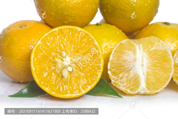 皇帝貢柑