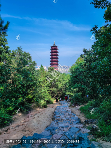 一條路的風(fēng)景