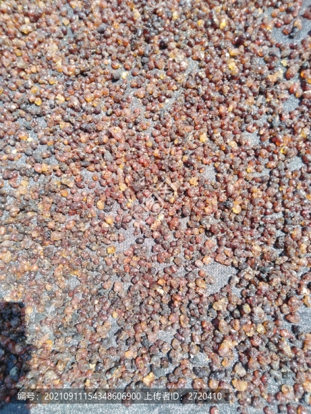 嗮桃油