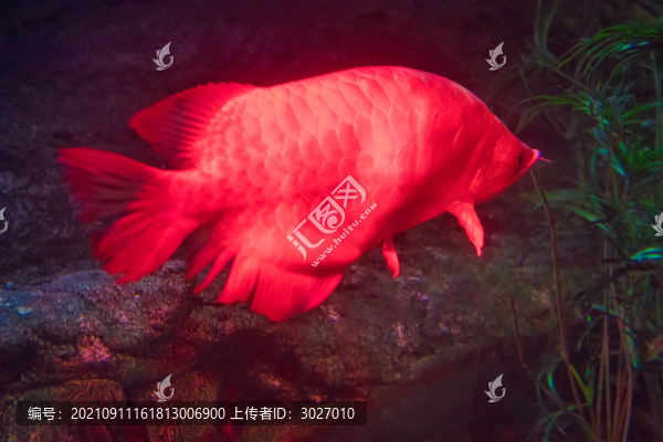 北京動物園海底世界