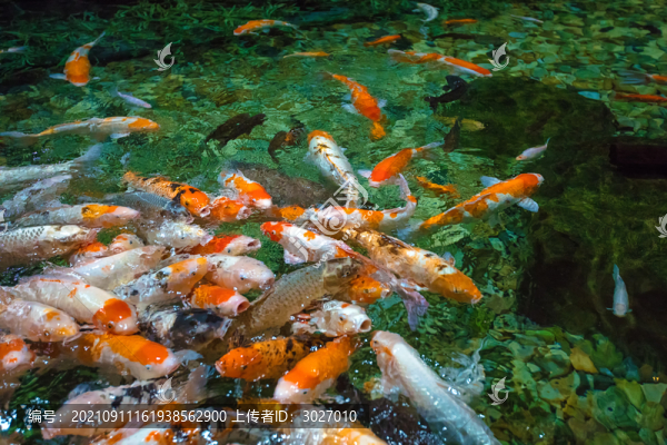 北京動(dòng)物園海底世界