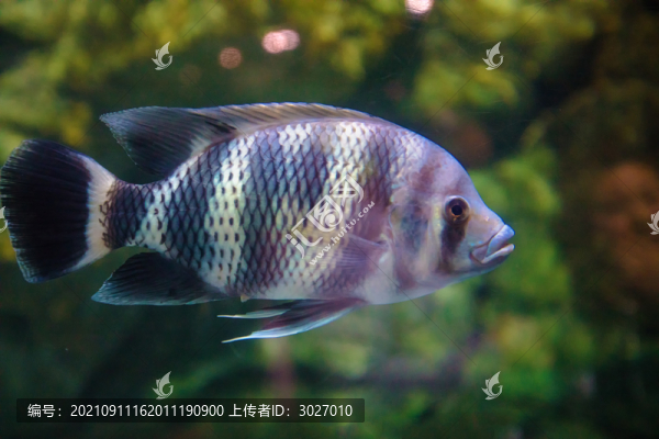 北京動物園海底世界