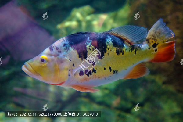 北京動物園海底世界