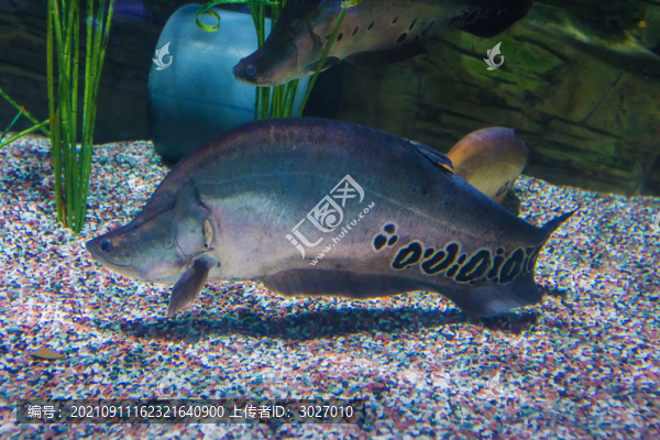 北京動(dòng)物園海底世界