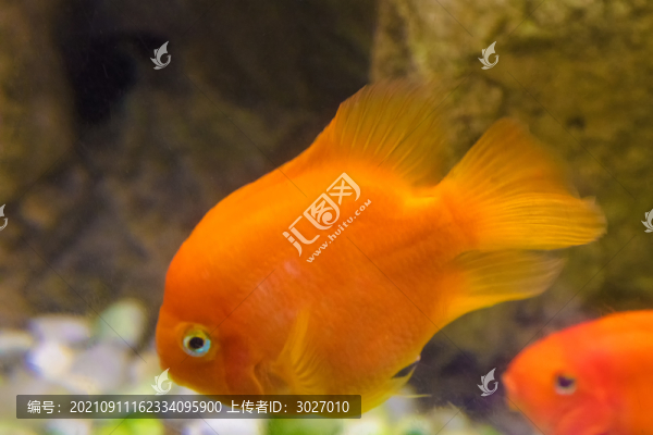 北京動(dòng)物園海底世界