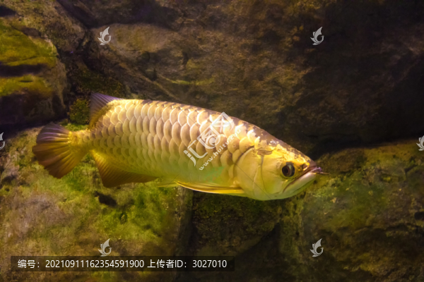 北京動(dòng)物園海底世界