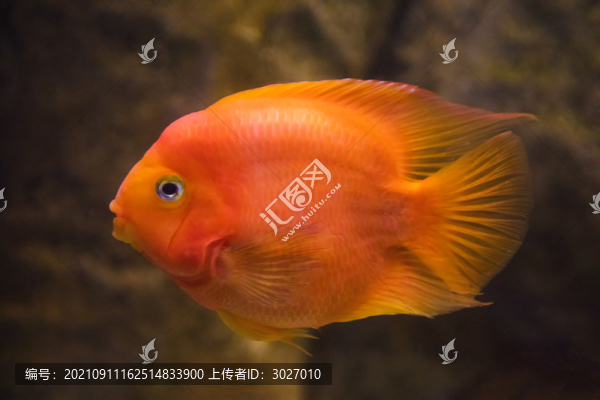 北京動物園海底世界