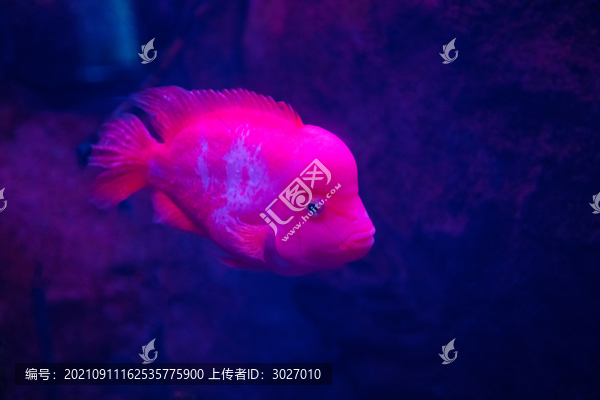 北京動物園海底世界
