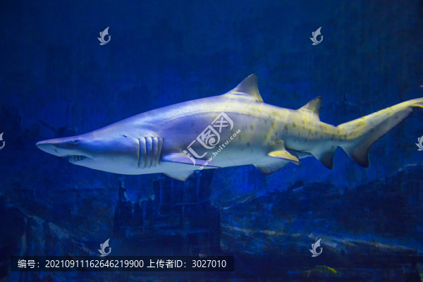 北京動(dòng)物園海底世界
