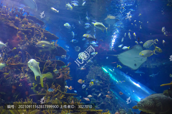 北京動物園海底世界