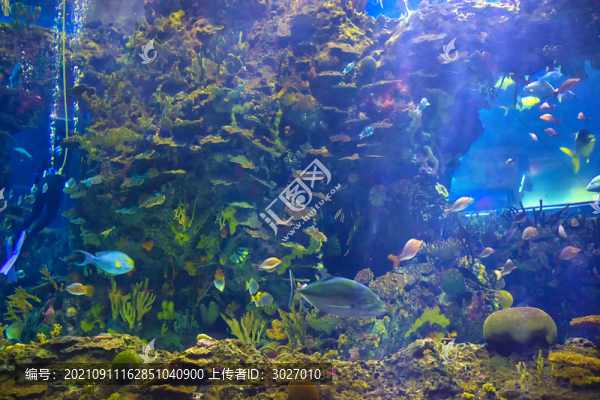 北京動(dòng)物園海底世界