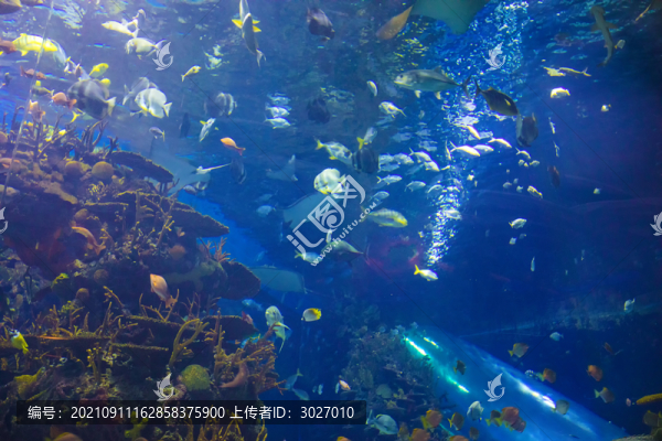 北京動(dòng)物園海底世界