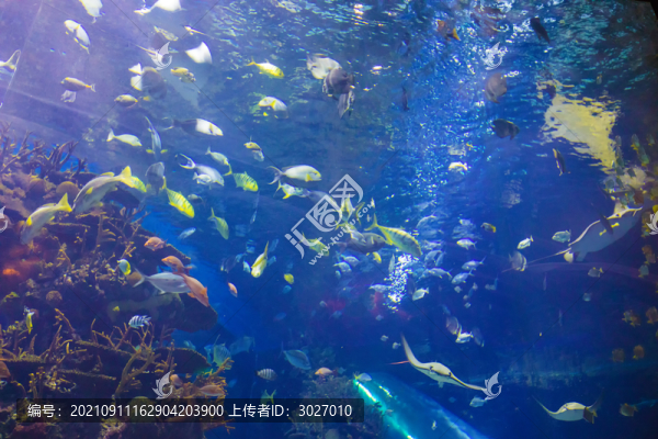 北京動(dòng)物園海底世界