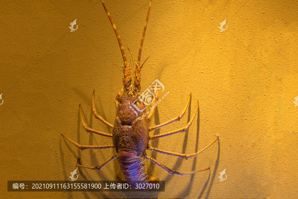 北京動物園海底世界