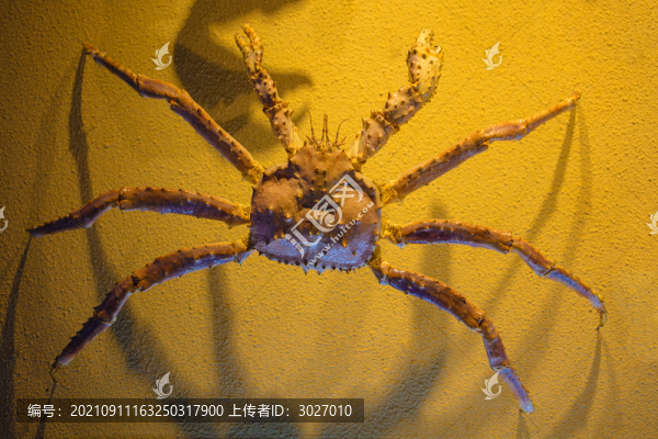 北京動物園海底世界