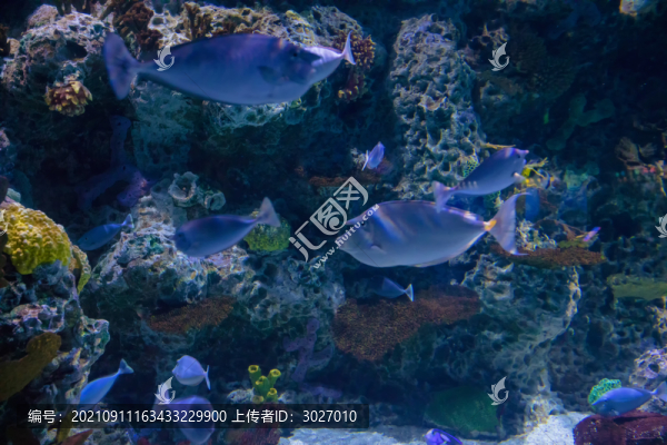 北京動(dòng)物園海底世界
