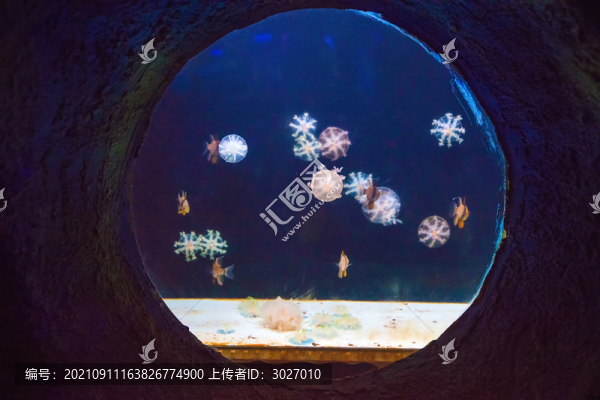 北京動(dòng)物園海洋館