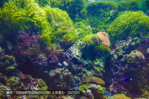 北京動物園海洋館