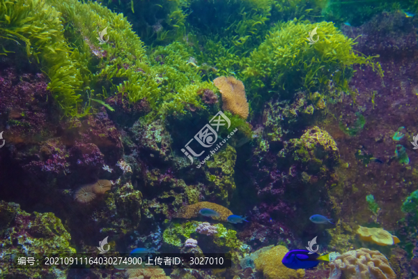 北京動(dòng)物園海洋館