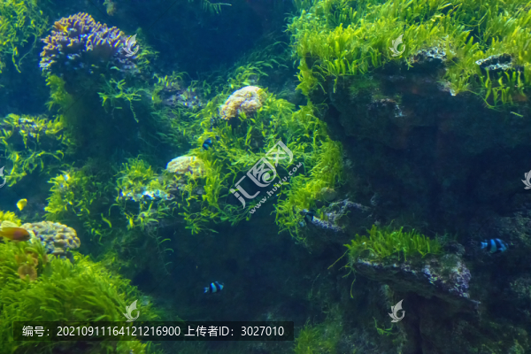 北京動物園海洋館