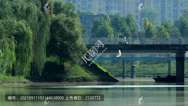 浮光掠影