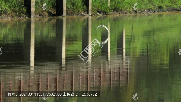 浮光掠影