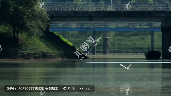 浮光掠影