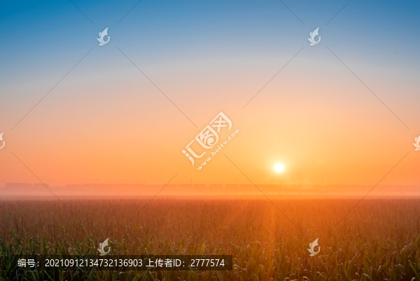 日出