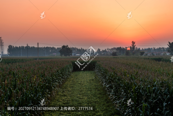 日出