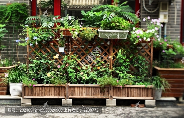 花園