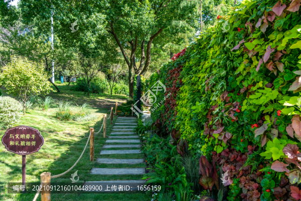 公園小路