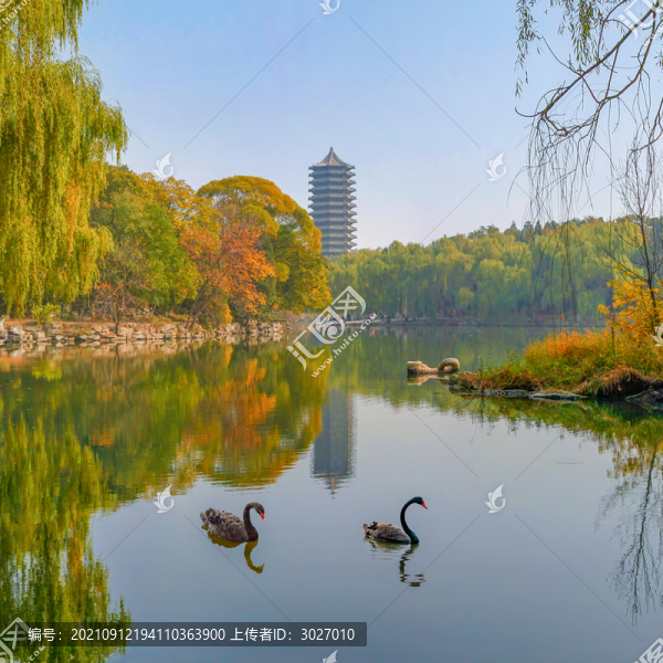 北京大學(xué)未名湖