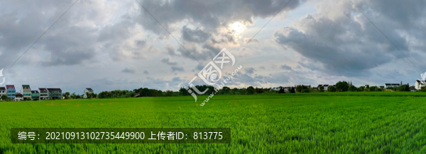 清晨原野全景圖