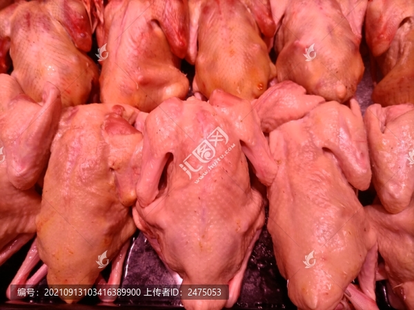 冰鮮雞肉鴨肉