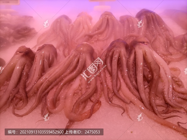 魷魚