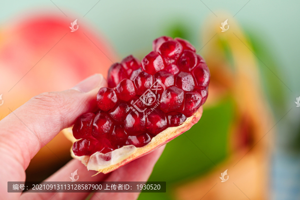 突尼斯軟籽石榴