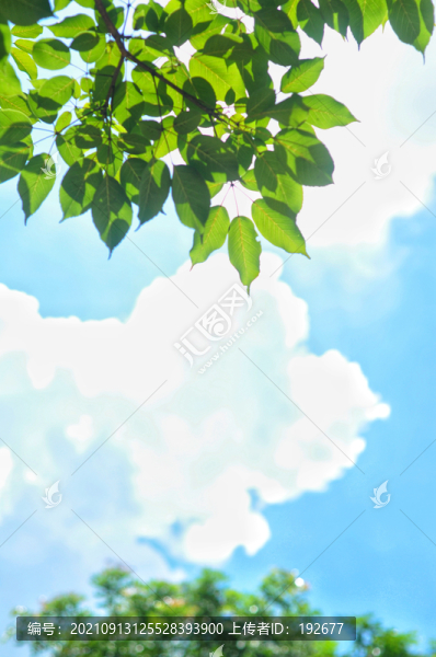 盛夏天空