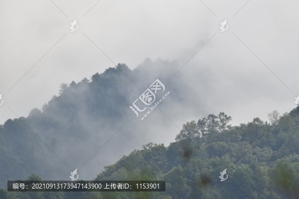 山中晨霧