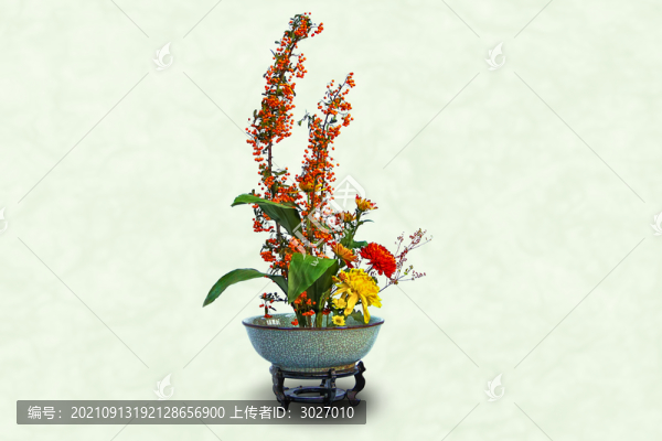 菊花插花